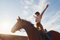 Bienvenue sur le site de l'équitation du Loir-et-Cher !